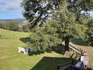 Cabaña Pasiega Lucas