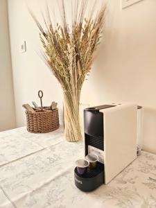 Aires de Gijón - 2 dormitorios - Reformado