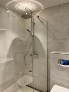 Central Park Apartment 1km to Old Town