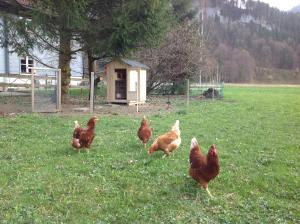 Appartement Isabella