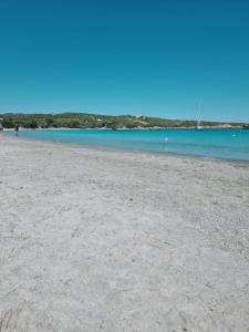 Residenza Benvenuto Cellini img49