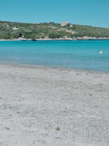 Residenza Benvenuto Cellini img2