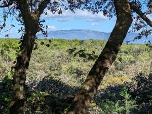 Camping a Grignan dans forêt privée vue Ventoux