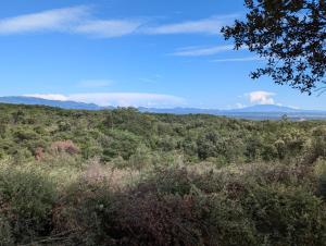 Campings Glamping Grignan 5 personnes vue exceptionnelle : photos des chambres