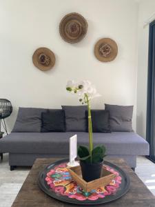 Appartements Guesthouse proche bordeaux Parking : photos des chambres
