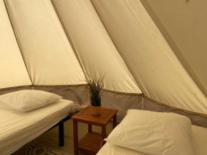 Campings Camping Cap-Ouest : photos des chambres