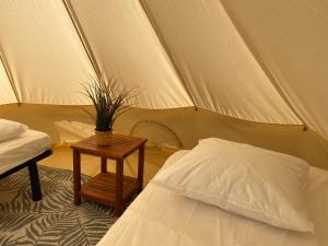 Campings Camping Cap-Ouest : photos des chambres