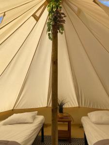 Campings Camping Cap-Ouest : photos des chambres