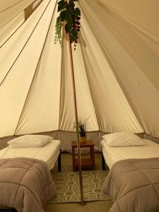 Campings Camping Cap-Ouest : photos des chambres