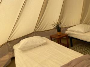 Campings Camping Cap-Ouest : photos des chambres