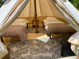 Campings Camping Cap-Ouest : Tente