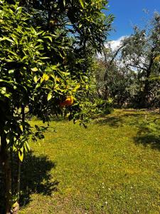 Welcome Traveller Laurence Garden Apartments