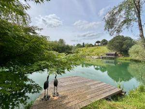 Chalets La cabane sur le lac aux Temps des Sources : photos des chambres