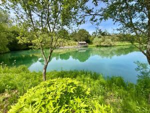 Chalets La cabane sur le lac aux Temps des Sources : photos des chambres