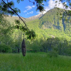 La Meizun de Charles