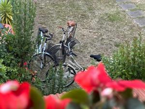 Domus Socolatae Cocoa Journey Tuscan Lifestyle B&B