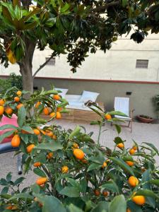 Domus Socolatae Cocoa Journey Tuscan Lifestyle B&B