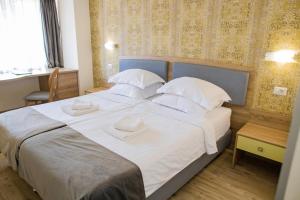 Hotel Olanesti & Spa Medical