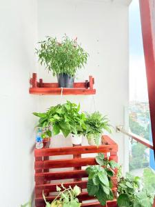 C-Skyview Chánh Nghĩa- Kanghy