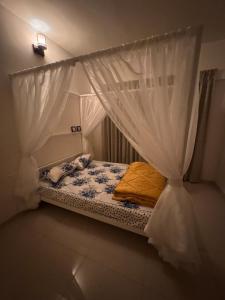 Rosho homes Balcony with valley view