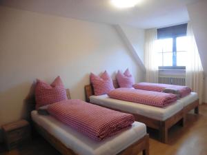Land & Erlebnis Apartment im Allgäu