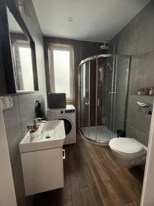 Apartament Miernicza