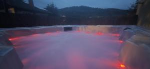 Maisons de vacances Le Coeur des Vosges - Jacuzzi disponible toute l'annee : photos des chambres