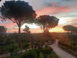 Residence Sardegna San Teodoro img28