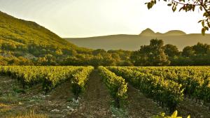 Hotels Domaine De Blancardy : photos des chambres