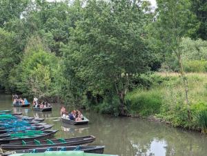 B&B / Chambres d'hotes AU COEUR DU MARAIS : photos des chambres