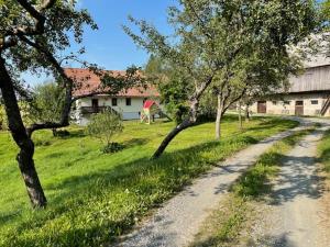 Eko kmetija Sen na Zgornji Kapli