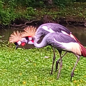B&B / Chambres d'hotes AU COEUR DU MARAIS : photos des chambres