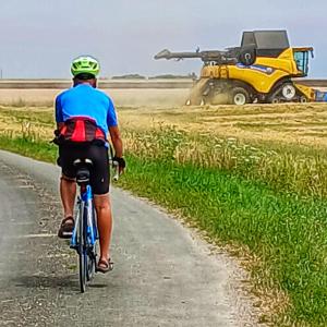 B&B / Chambres d'hotes AU COEUR DU MARAIS : photos des chambres