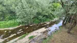 Вила ХВОЙНА