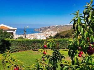 Villa Mombal - Nazaré