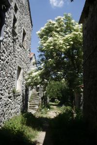 Maisons de vacances Maison Casal : photos des chambres