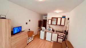 Sunny Day 6 Studio 11