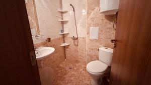 Sunny Day 6 Studio 11