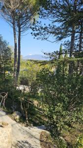 Maisons de vacances Villa Calou a Vaison : photos des chambres