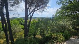 Maisons de vacances Villa Calou a Vaison : photos des chambres