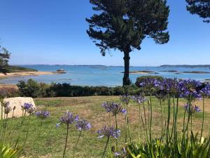 Maisons d'hotes La Bretonne vue mer : photos des chambres