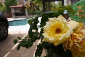 Villa Valencia By Luxury Group, Ölüdeniz, Private Pool