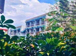 Sola Hotel & Sola Bed and Breakfast