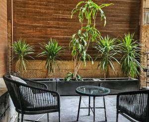 Elegant Retreat in Zamalek