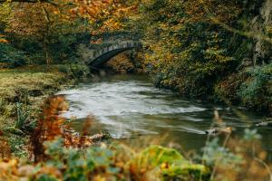 Hammesmühle Landgasthof