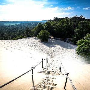 Appartements Vaste studio au centre de La Teste de Buch : photos des chambres