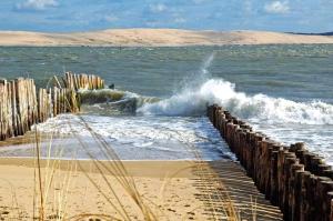 Appartements Vaste studio au centre de La Teste de Buch : photos des chambres