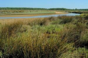 Appartements Vaste studio au centre de La Teste de Buch : photos des chambres