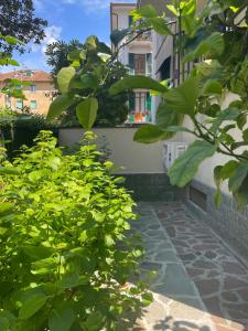 Casa Gelsomina apartment