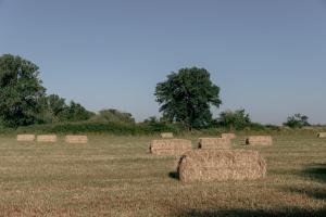 TerraCabins - Malagueiro